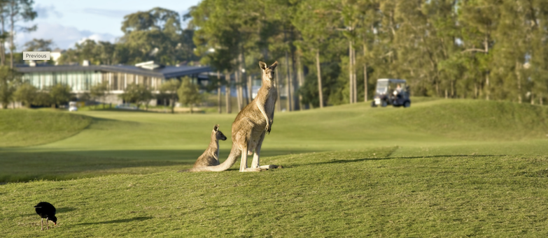 Sanctuary Cove Resort All Inclusive Golf Package